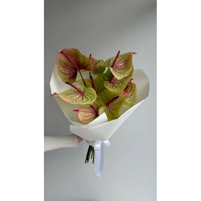 Антуриумы в Есиле