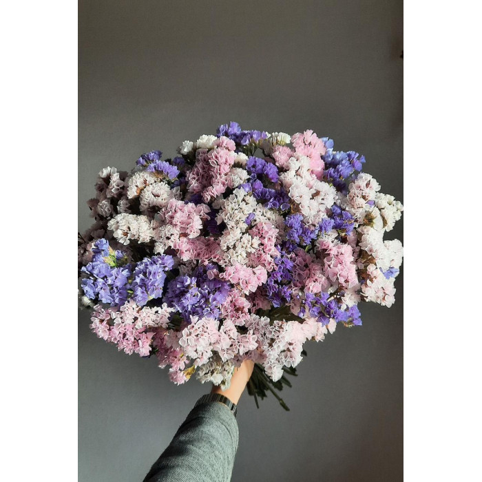 Статица (Лимониум) в Есиле