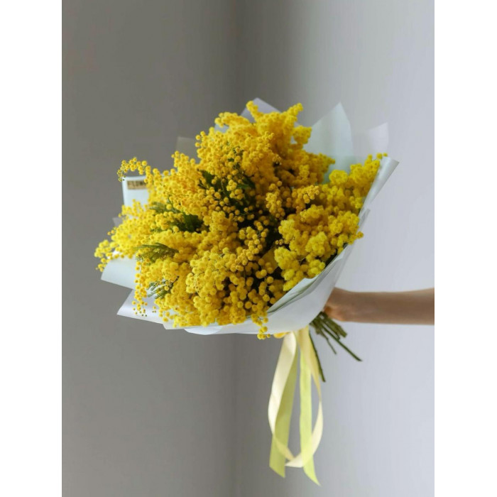 Мимоза в Есиле