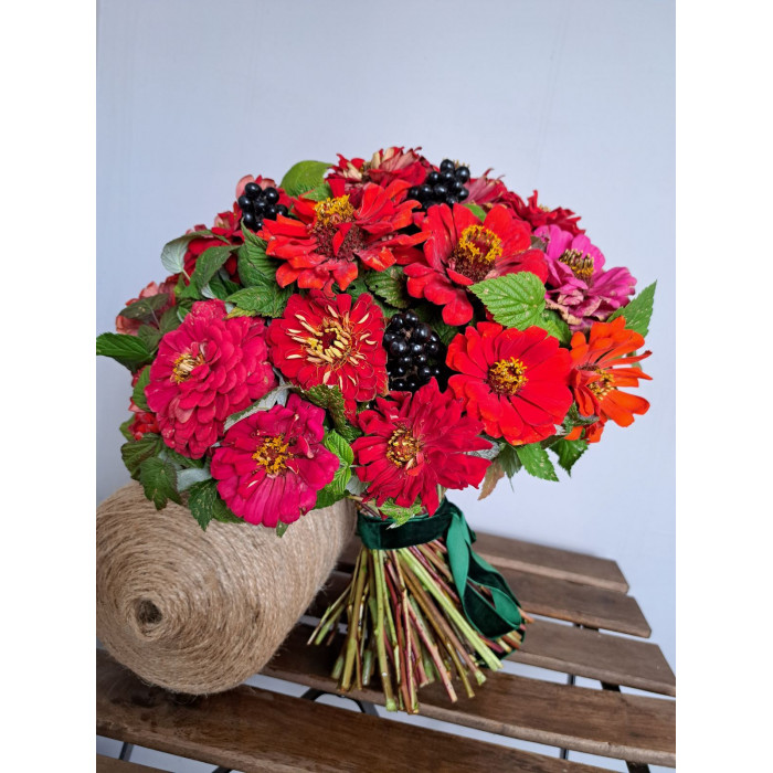 Циния в Есиле