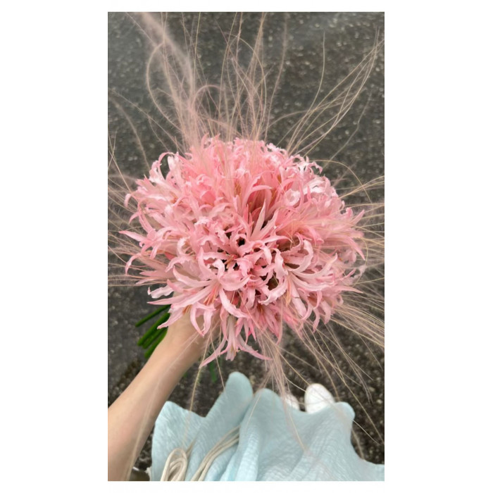 Нерине в Есиле