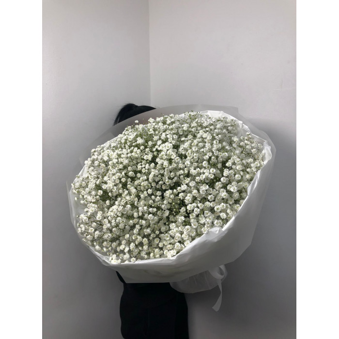 Гипсофила классическая в Есиле