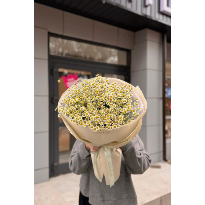 Танацетум в Есиле