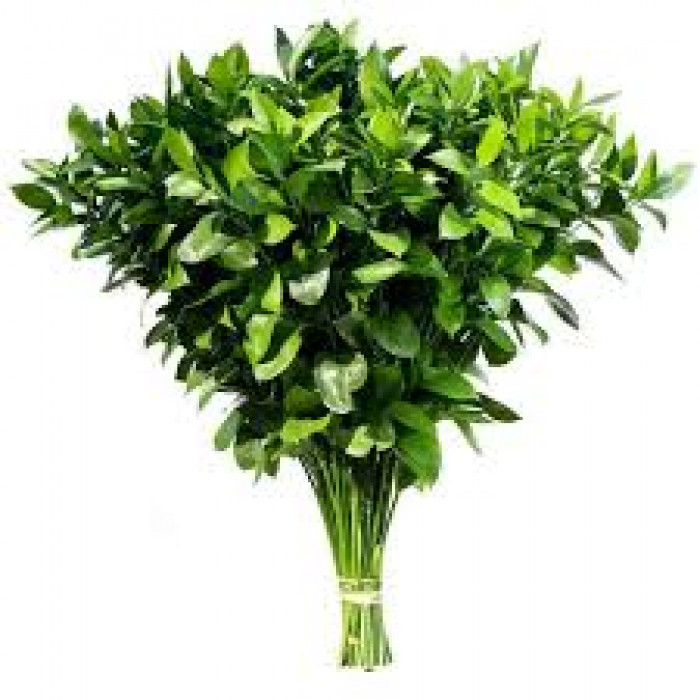 Рускус в Есиле