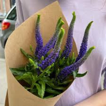 Букет из фиолетовой вероники