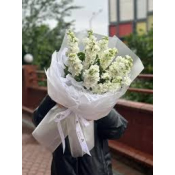 Букет из белой маттиолы