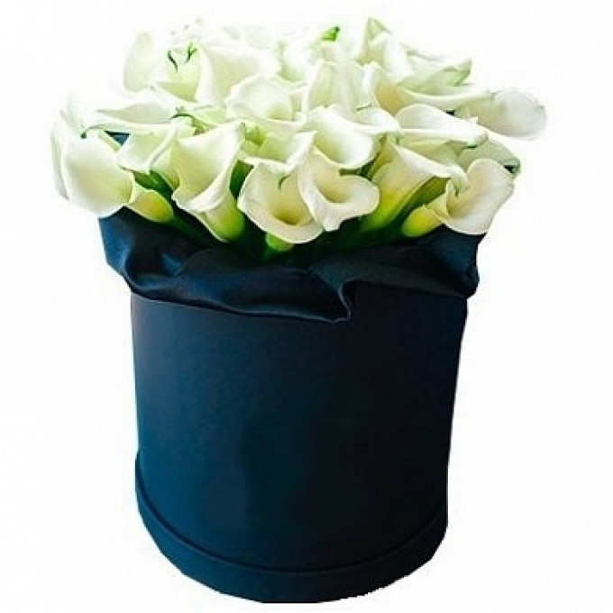 Каллы в шляпной коробке (39 шт.) Каллы в шляпной коробке (39 шт.)