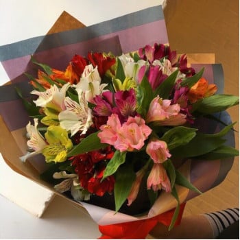 Carpe diem Carpe diem