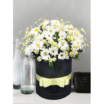 Изящные ромашки в стильной коробке